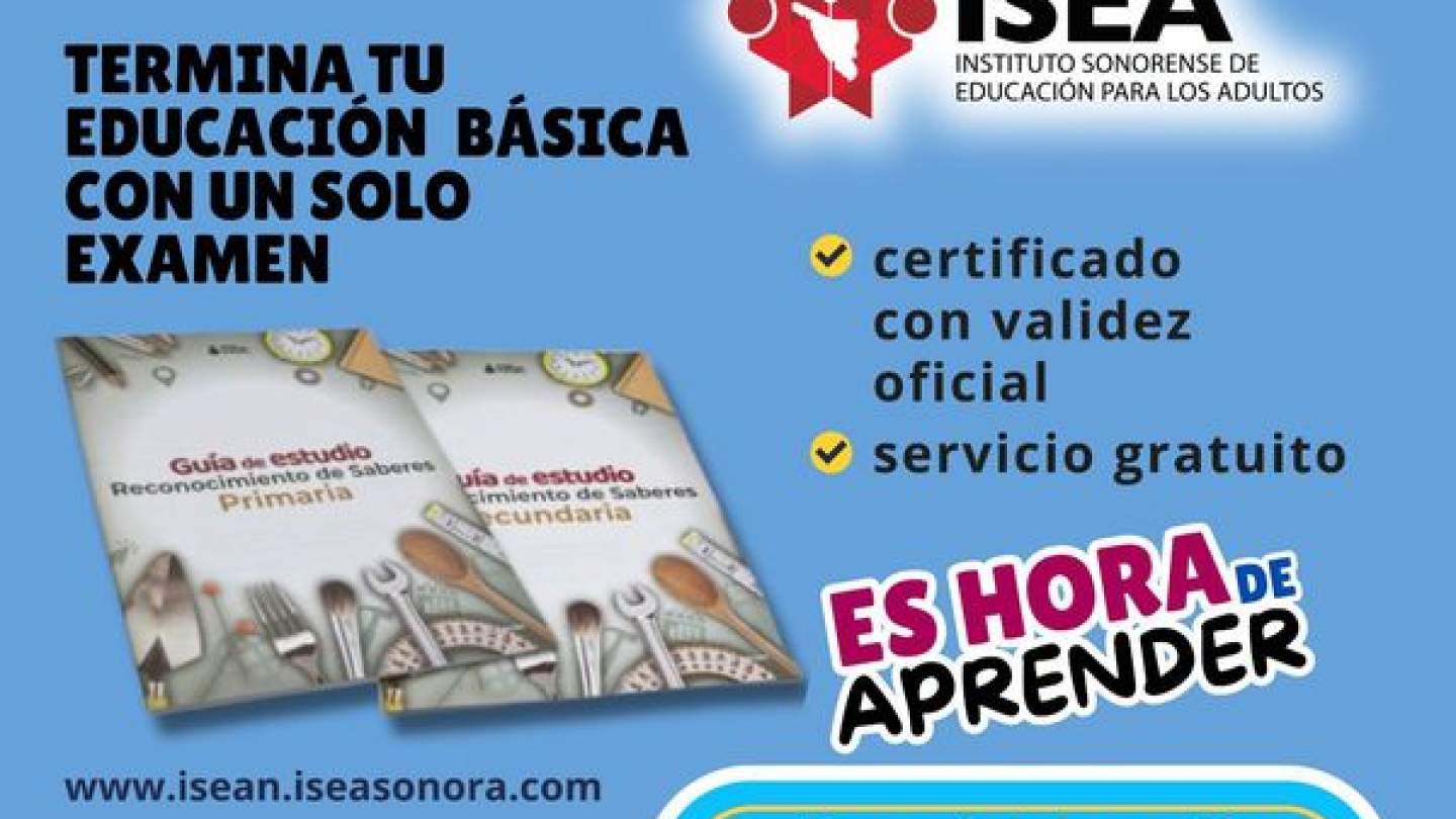 ¿Tienes conocimientos y experiencia laboral?