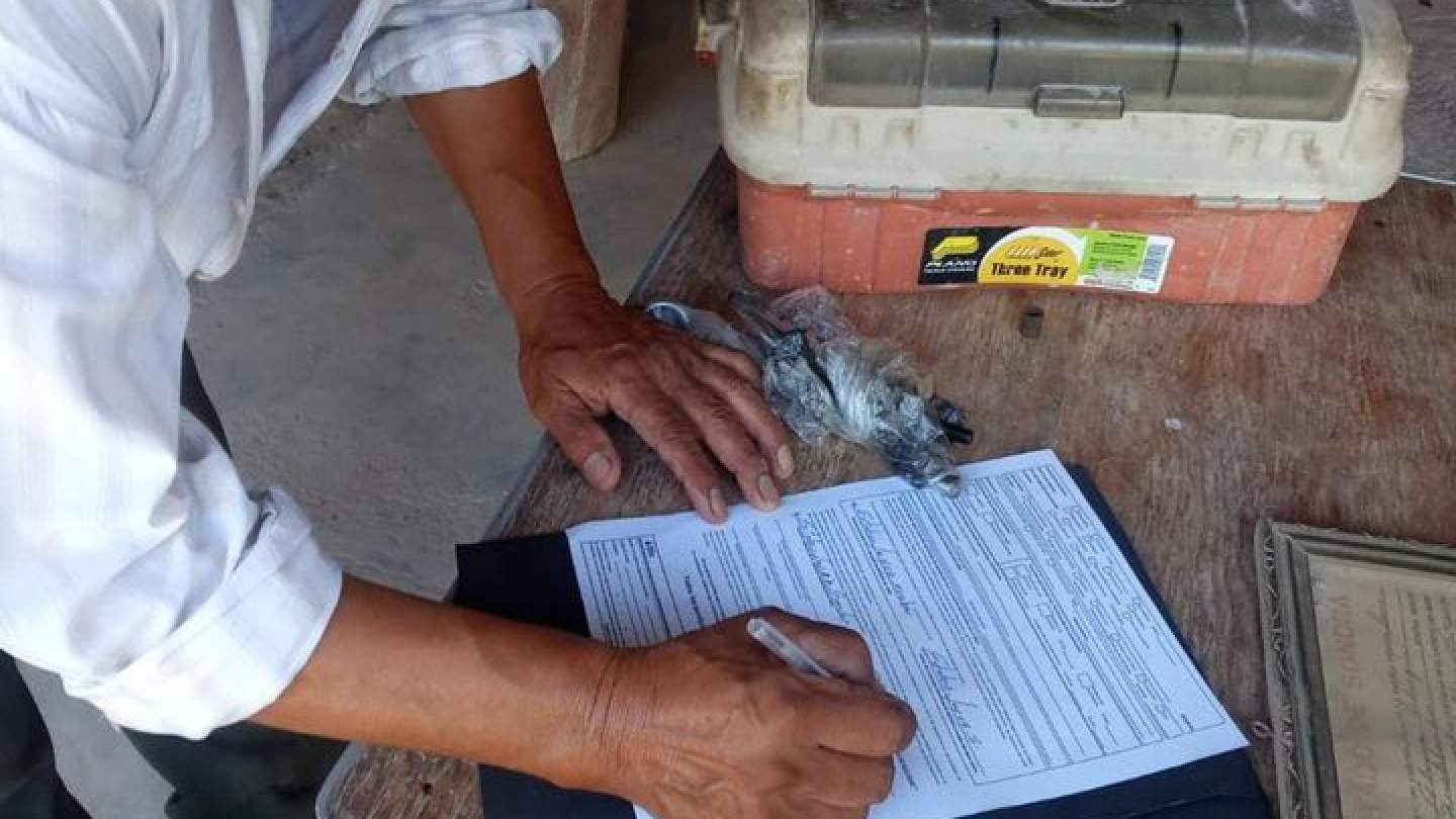 Le apuesta ISEA a la formalización de conocimientos y experiencias de vida