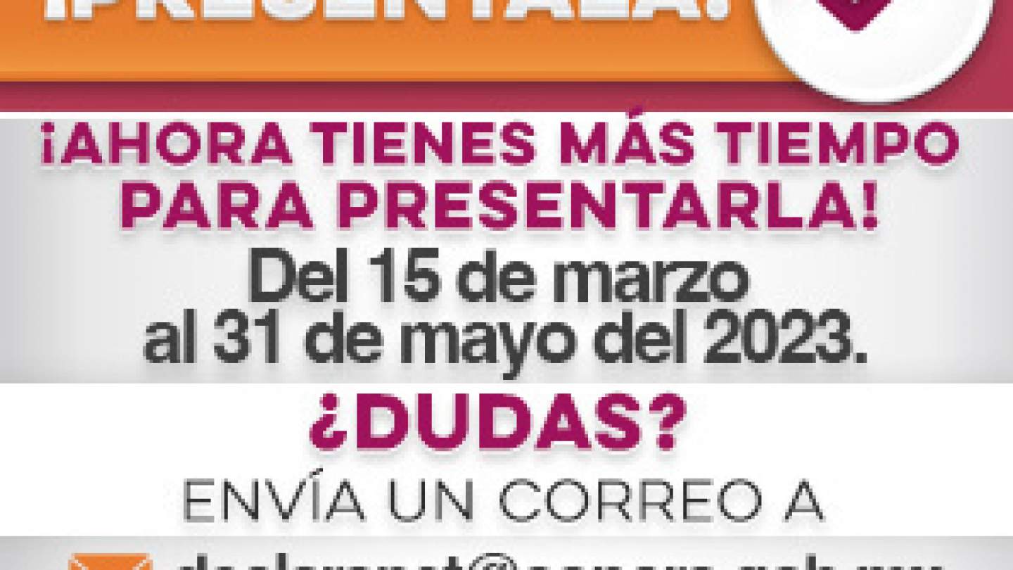 Declaración Patrimonial 2023