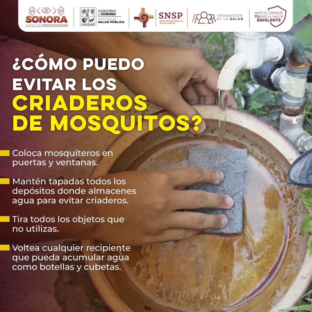 Gobierno de Sonora refuerza las acciones contra el dengue en todo el estado