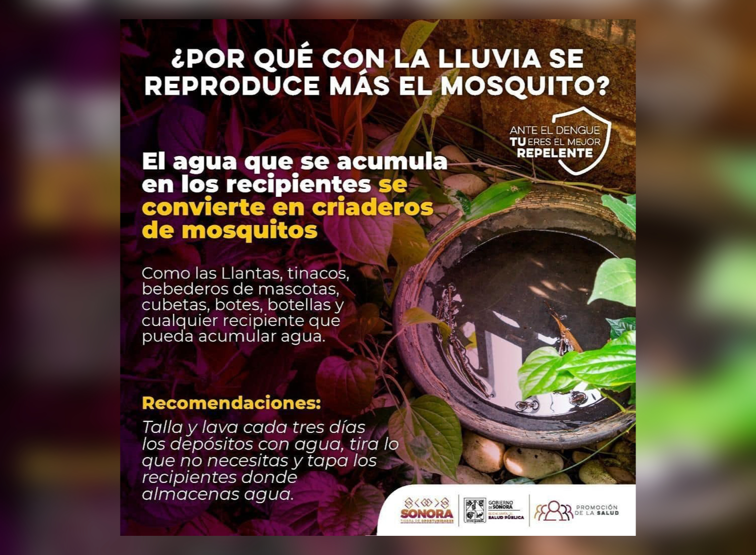 Llama Salud Sonora a mantener hogares limpios y prevenir el dengue