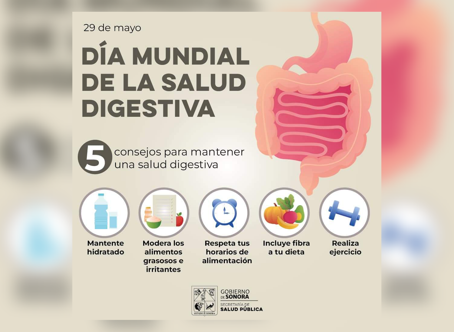 Salud Sonora recomienda mantener una alimentación sana y evitar problemas digestivos